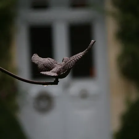 Les Basses Fontaines 2*