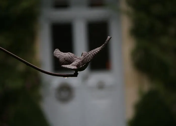 Les Basses Fontaines 2*